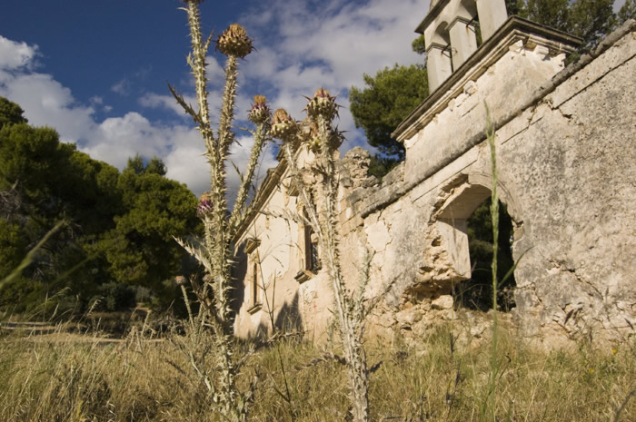 11_Kefalonia 2009 - Mon Sission Erdbebenruine 1953 -  28_DSC_5838
