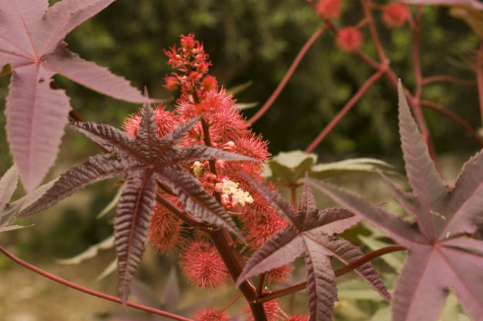 04_Lourdata Waterside Studio und Umgebung - 19_DSC_5540