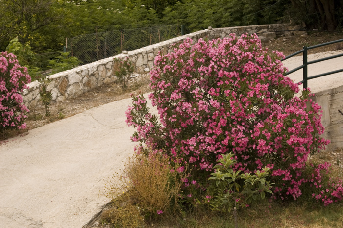 04_Lourdata Waterside Studio und Umgebung - 20_DSC_5542