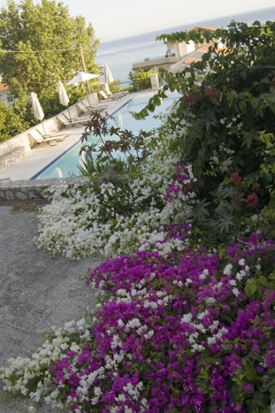 51_Lourdata - Weg zu Strand - 02_DSC_6126