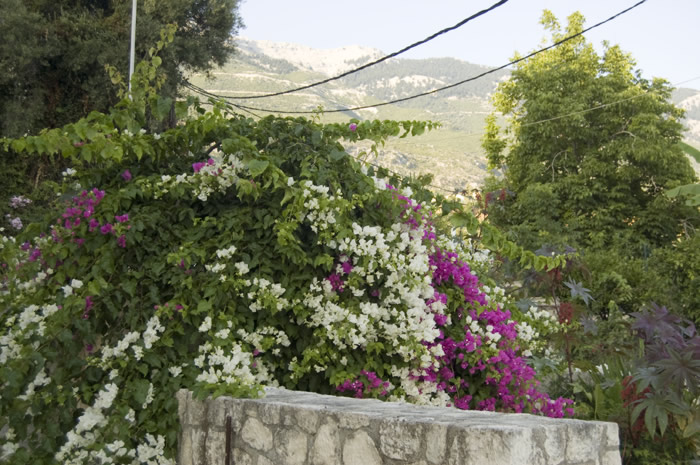 51_Lourdata - Weg zu Strand - 04_DSC_6128