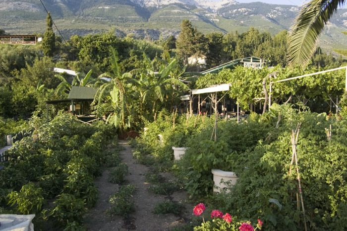 57_Lourdata - Gemuesegaerten der Taverne Klimatis - 13_DSC_6142