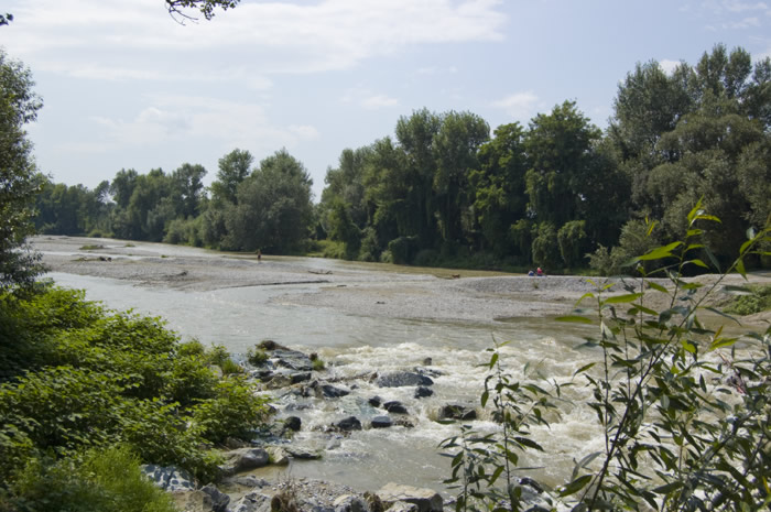 04 Wanderung nach Lanzenkirchen - Leitha beim Eichbüchler Steg -  04_DSC_6380