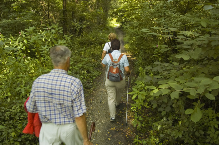 05 Wanderung nach Lanzenkirchen - Erlebnisse in der Leithaau -  05_DSC_6385